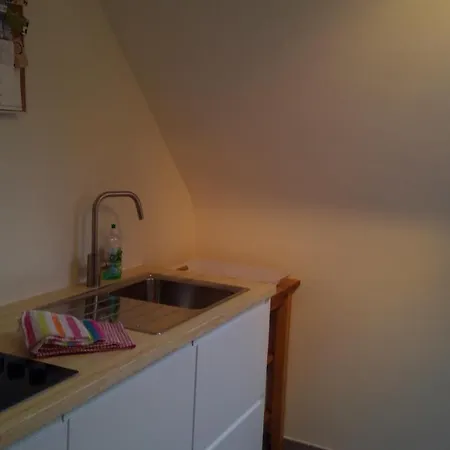 De Blauwvoet Studio Nieuwpoort